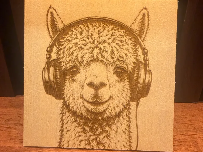 Alpaca With Headphones