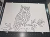 Draw