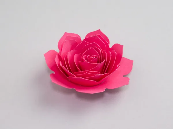 https://makerworld.bblmw.com/makerworld/model/DSUS0000003035416/design/f62fd2ddc78ea8b2.jpg