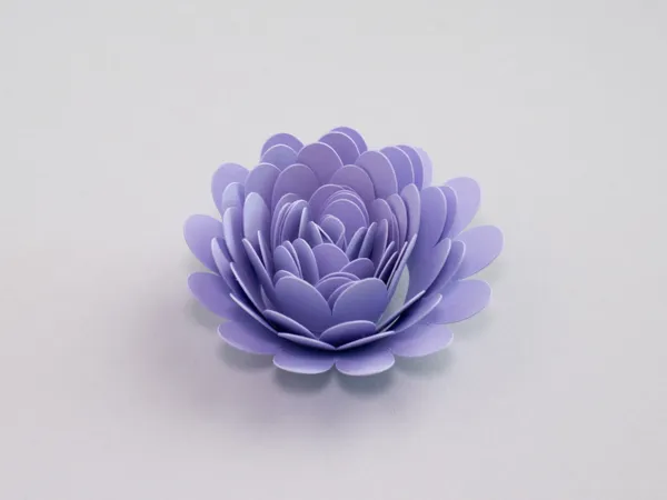 https://makerworld.bblmw.com/makerworld/model/DSUS0000003035476/design/369a1de682764eb1.jpg
