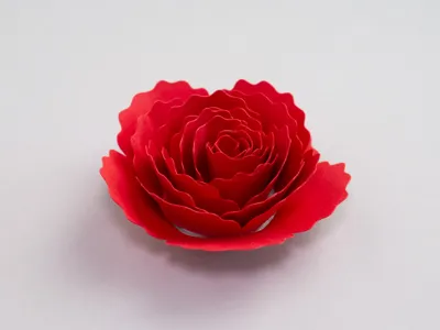 Rolled Flower