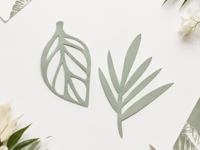 Tropical Leaves