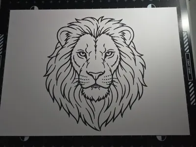 lion