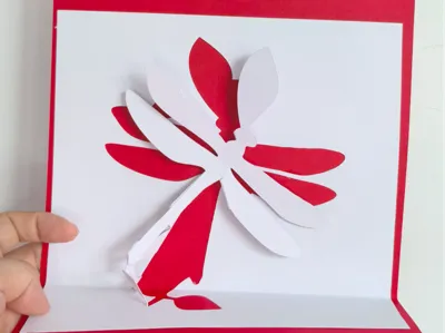 017 Dragonfly
