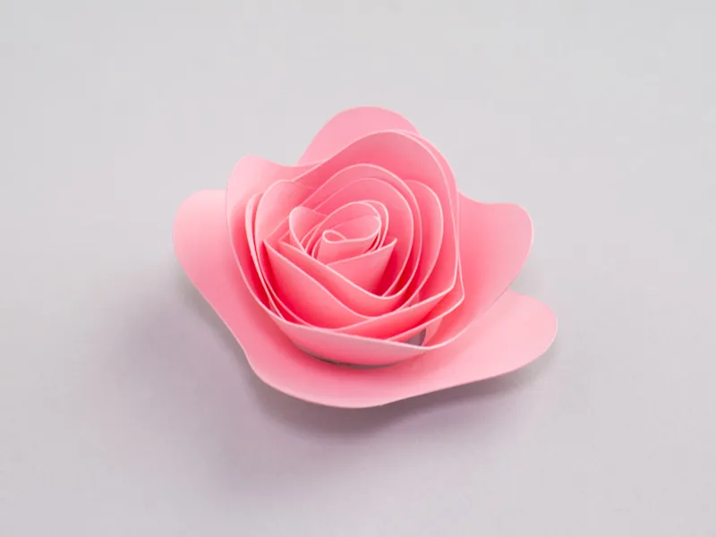 Rolled Flower