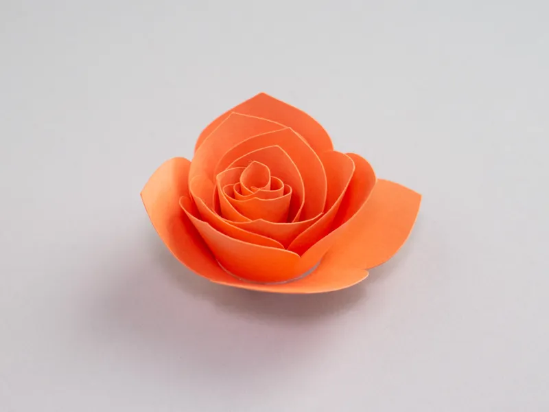 Paper Flower