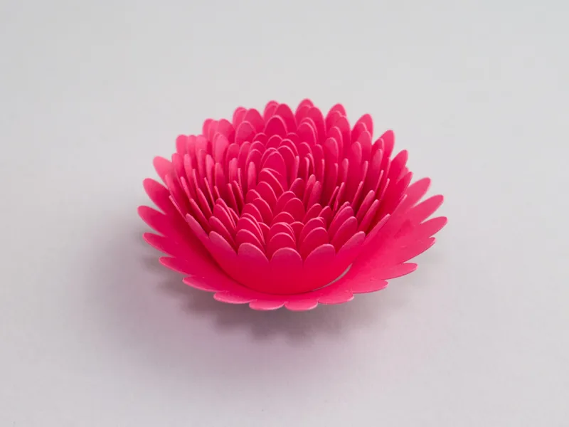 Paper Flower