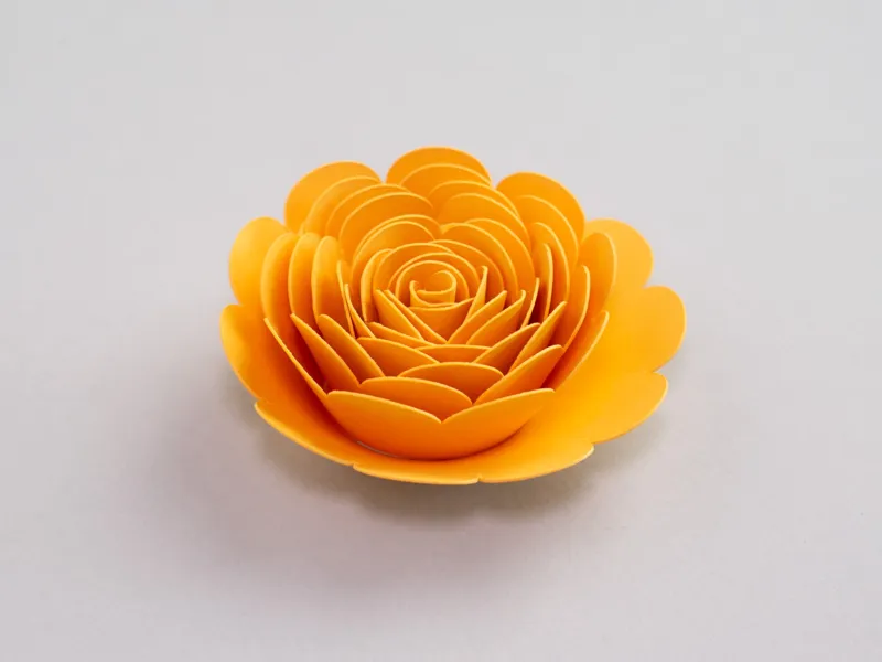 Paper Flower