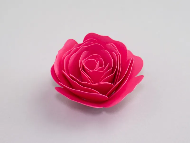 Rolled Flower