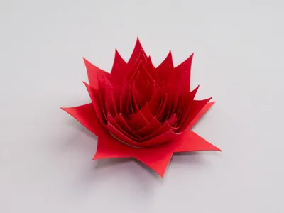 Paper Flower