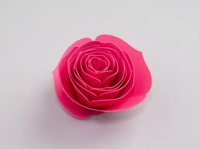 Paper Flower