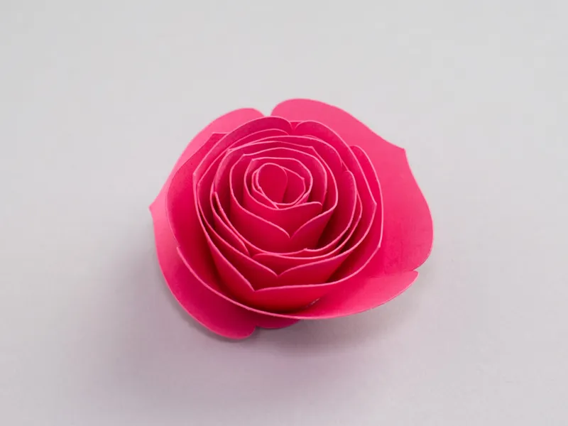 Paper Flower