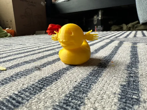 https://makerworld.bblmw.com/makerworld/model/US10038410118fa3/design/2025-02-16_d23ec410bd869.jpg