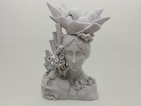 https://makerworld.bblmw.com/makerworld/model/US1007676e21c4a2/design/2025-07-10_9769c6188d5538.jpg