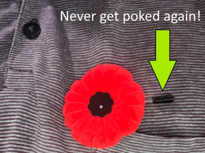 Poppy pin point protector