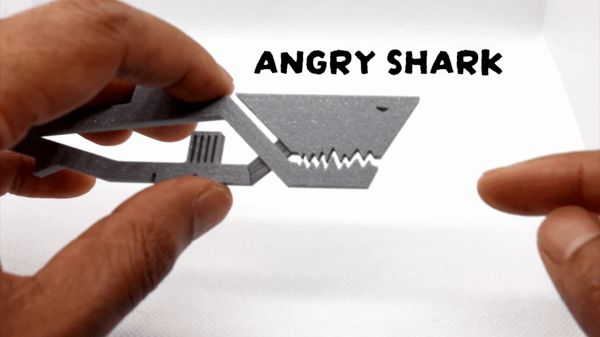 https://makerworld.bblmw.com/makerworld/model/US100875b4685eb7/design/2024-04-16_c11ef5c4f602e.gif