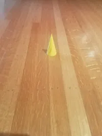 0.2mm layer, 2 walls, 15% infill 1 color