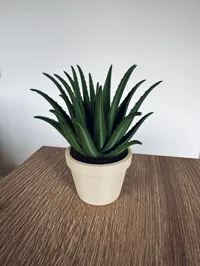 0.24mm layer, 3 walls, 15% infill