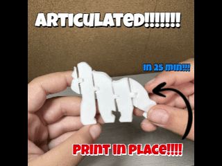 https://makerworld.bblmw.com/makerworld/model/US101006bb7fb3d6/design/2025-10-09_8955de92b3f2c.gif