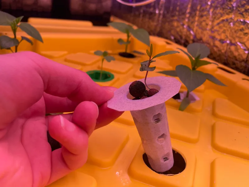 Net Cup Universal Hydroponic Pod (2 Gram,VASEMODE)