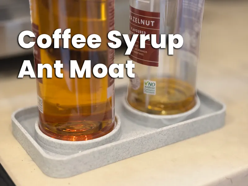 Coffee Syrup Ant Moat