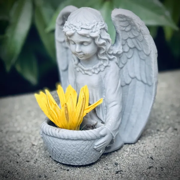 https://makerworld.bblmw.com/makerworld/model/US1019e0a1157102/design/2025-01-31_65rvpxurjbz7.jpg