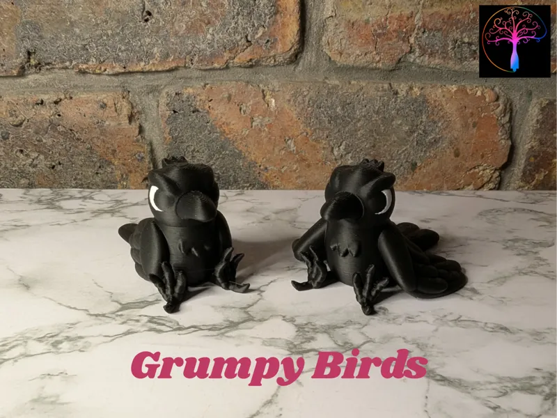 Grumpy Birds - Funny Crow