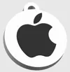 Apple 1