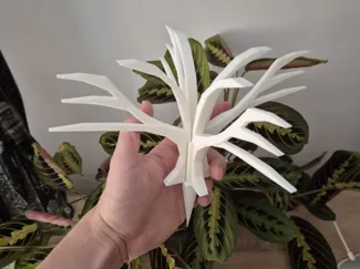 Plant support in tree look