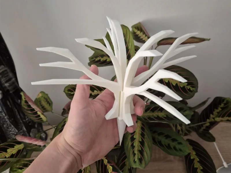Plant support in tree look