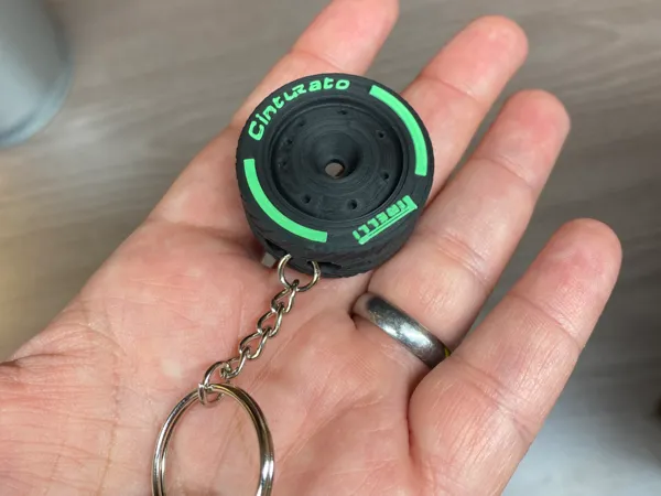https://makerworld.bblmw.com/makerworld/model/US1022ce8437d98/design/2025-02-28_3ed15806138658.jpeg