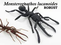 M. lucanoides robust 0.2mm layer, 2 walls, 15% infill