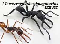 M. imaginarius robust 0.16mm layer, 2 walls, 15% infill