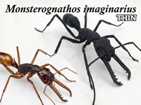 M. imaginarius thin 0.2mm layer, 2 walls, 15% infill