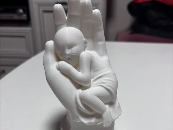 https://makerworld.bblmw.com/makerworld/model/US102796d00041dd/design/2025-01-29_0b185d7d2cabf.jpg