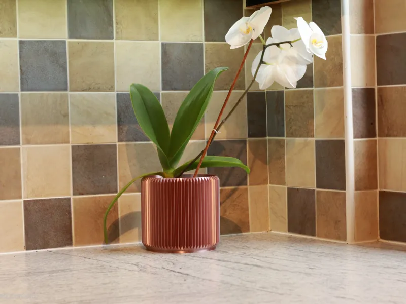 Plant Pot