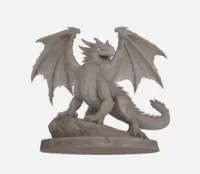 Young Dragon