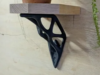 Organic shelf support V1