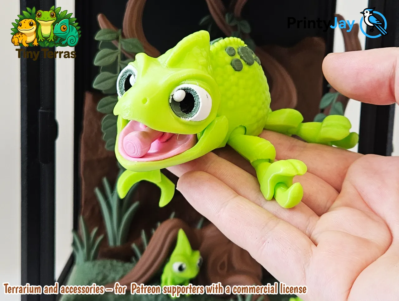 Veiled Chameleon – Tongue-Tastic Treeclimber! view 2