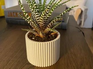 Succulent Pot 61mm x 48mm