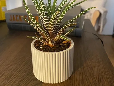 Succulent Pot 61mm x 48mm