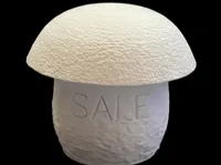 0.08mm layer, 2 walls, 15% infill