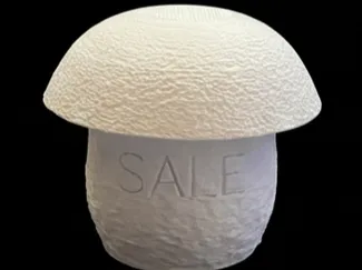 contenitore sale