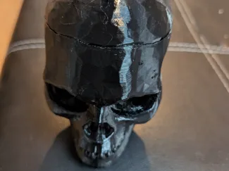 Mind locker - bowl in a skull