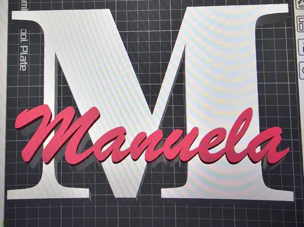 https://makerworld.bblmw.com/makerworld/model/US104442193cf268/design/f38b7090e6e1eaf7.jpg