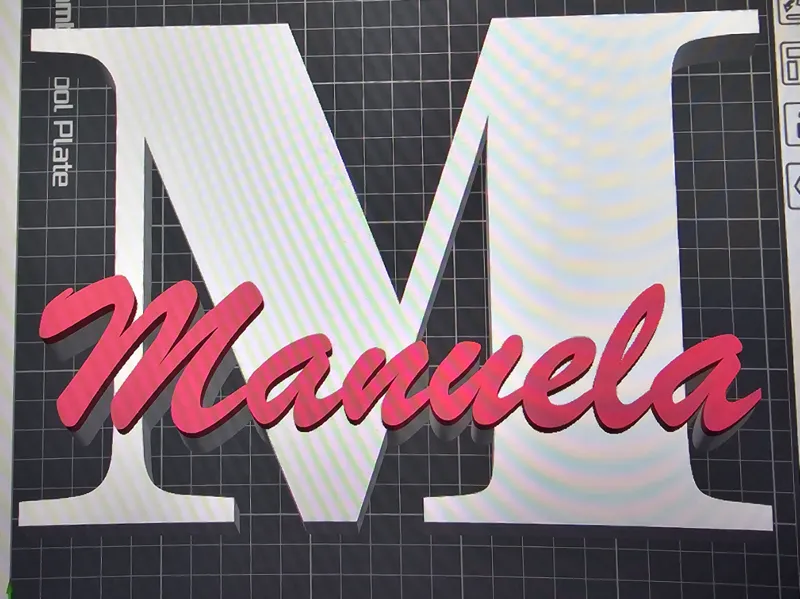 Cartel de Manuela 