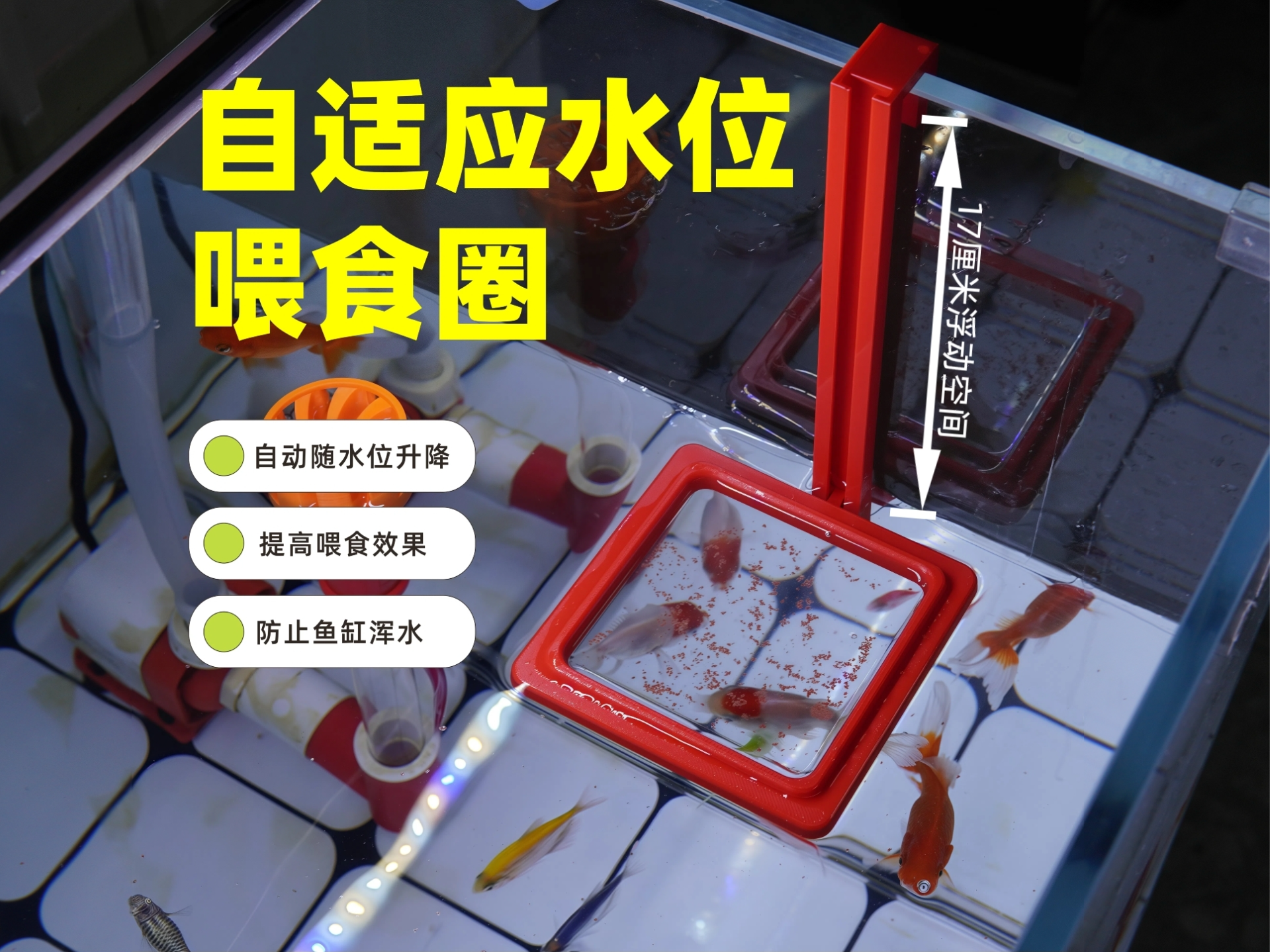 自动升降鱼缸喂食圈-免调节喂食器-防飘散投食圈