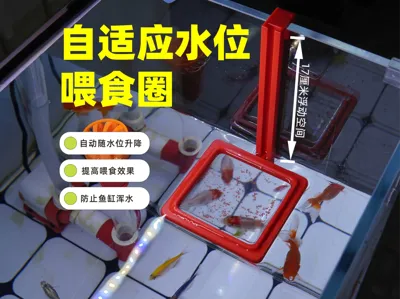 Automatic Lifting and Lowering Aquarium Feeding Ring - Adjustment-Free Feeder - Anti-Drift Feeding Ring