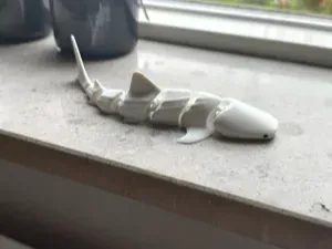shark