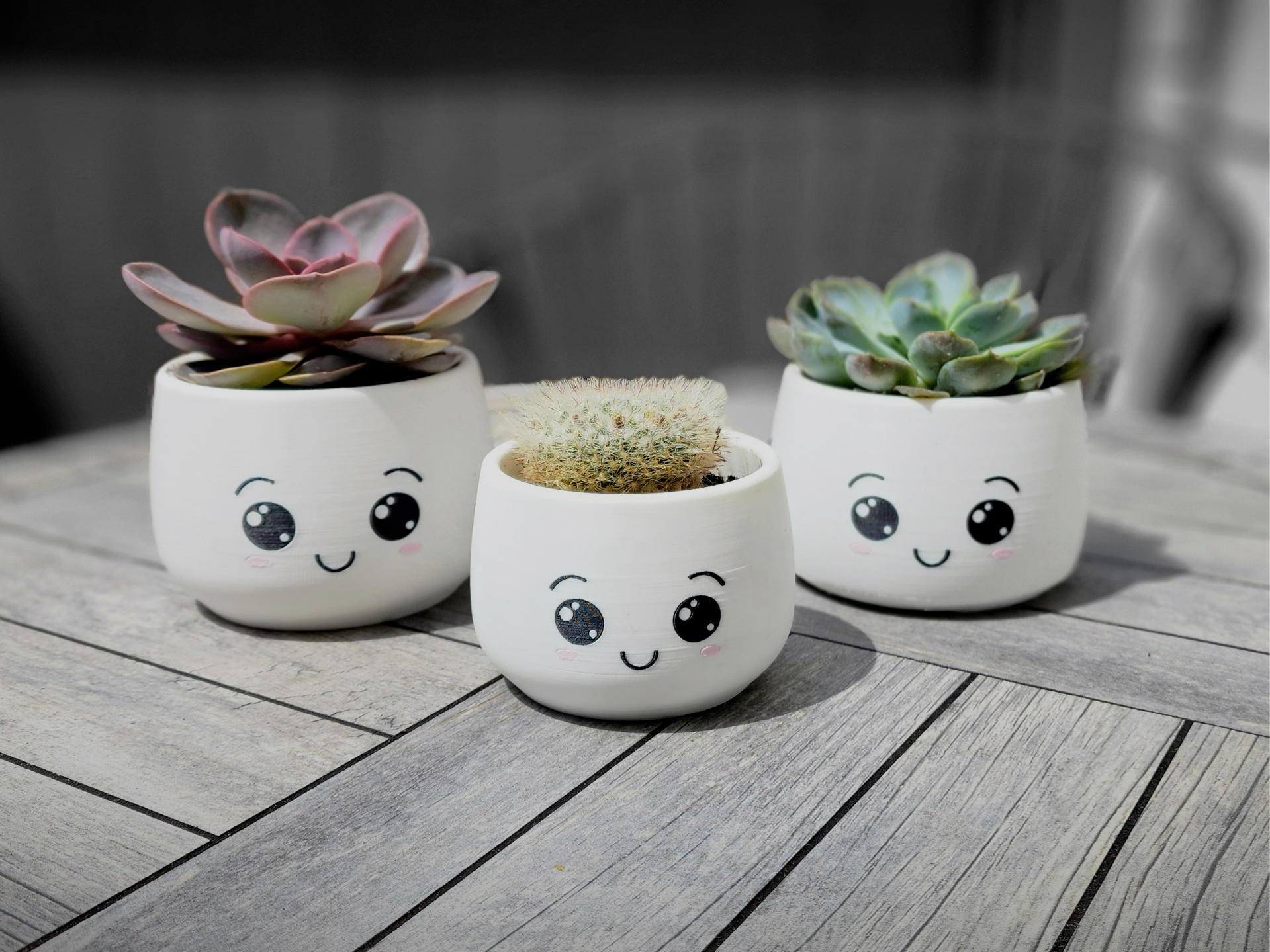 Cute Smile Planter